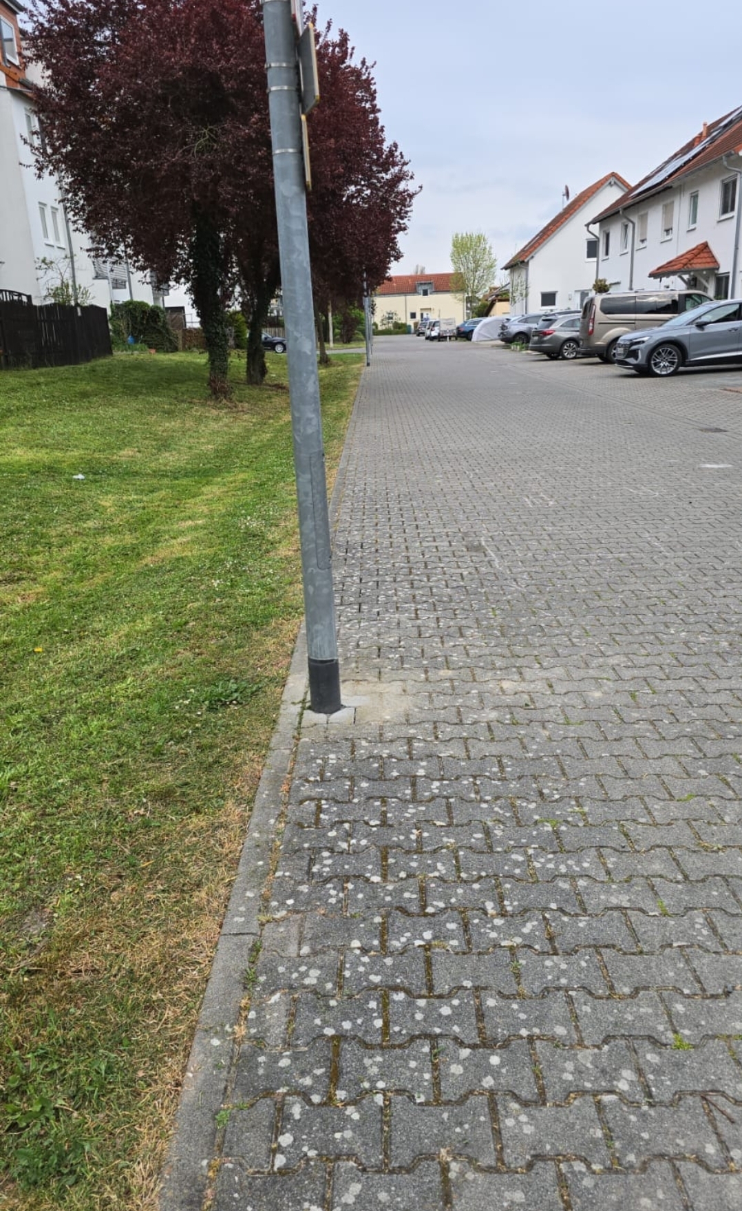 Gartenpflege Beispiel