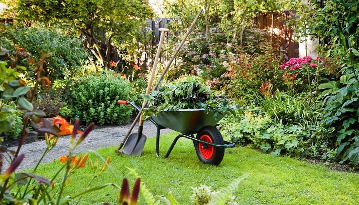 Gartenpflege durch unser Team